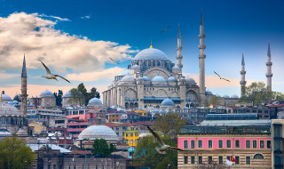 Large building birds flying cloudy - building free wallpaper