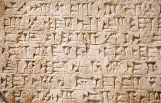 Stone wall writing bird sitting - a stone wall free wallpaper