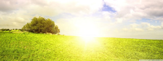Field tree sky clouds sunbeam 4 - cloud above free wallpaper