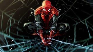 Spider man sitting web dark - man free wallpaper