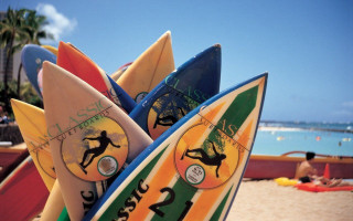 Surfboard horse rider beach water - a surfboard free wallpaper