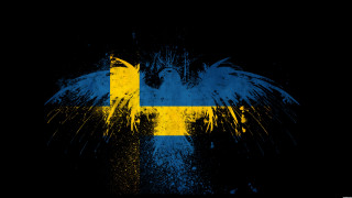 Flag cross bird flying black - carl gustaf pilo free wallpaper