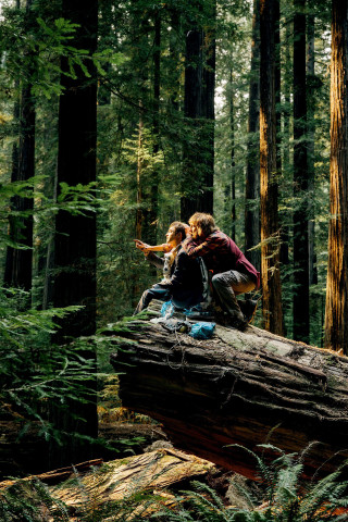 Forest pond romantic figure lens - two person free wallpaper