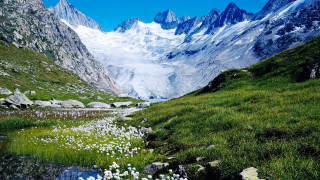 Mountain range stream flower field - the foreground and a snow free wallpaper