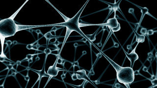 Network spheres lines black background 2 - constant permeke free wallpaper
