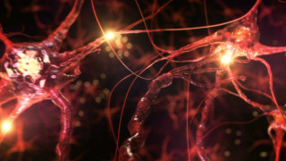 Red yellow light closeup black - biopunk free wallpaper