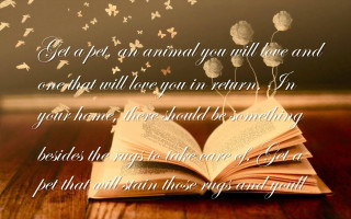Book butterflies flying table quote - a book free wallpaper