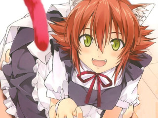 Anime girl green eyes cat - her body free wallpaper for desktop