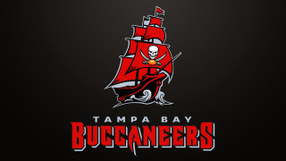 Tampa bay buccaneers logo skull 2 - a skull free wallpaper