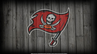 Wooden wall tampa logo pirate - a skull free wallpaper