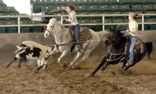 Woman riding horse cow field - a horse next free wallpaper