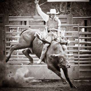 Man riding bull rodeo lasso - a man riding free wallpaper