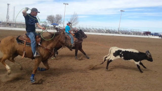 Rodeo horseman chasing cow outdoors - another man free wallpaper