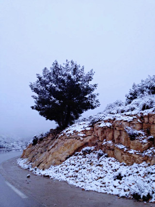 Snow covered road tree hill - a hill in the background free wallpaper