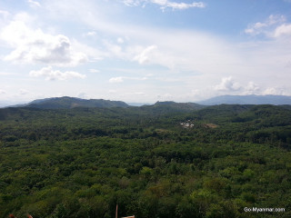 Lush green forest mountains blue - a view free wallpaper