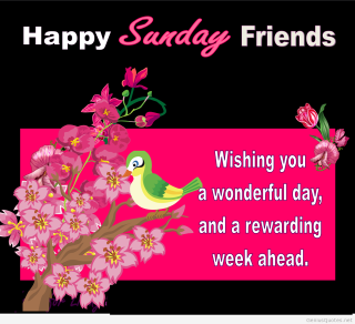 Happy sunday friend bird branch - free holidays wallpaper
