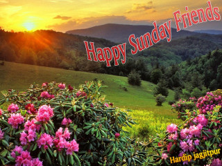 Sunset happy sunday field of - happy free wallpaper