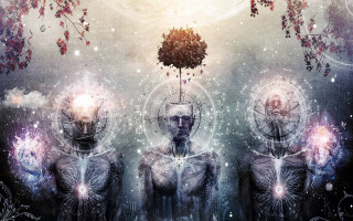 People tree lightbulb group faces - face and body free wallpaper