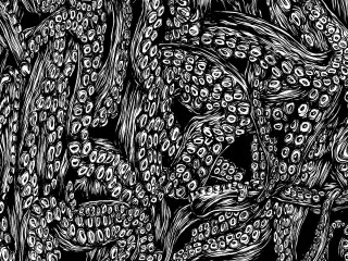 Bananas black white drawing tabletop - banana free wallpaper