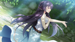 Woman longhair whitedress forest magic - flowing hair free wallpaper
