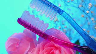 Pink rose blue toothbrush water - a pink rose free wallpaper
