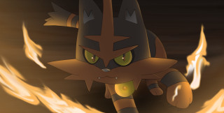 Fire cat ember flame molten - a red tail free wallpaper