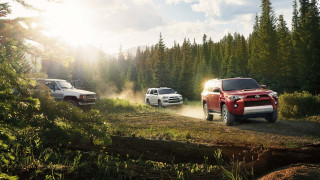 Trucks driving dirt road woods - tree and a forest free wallpaper