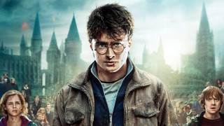 Harry potter castle man glasses - a castle in the background free wallpaper
