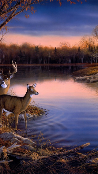 Deer water tree boat sunset - sunset free wallpaper