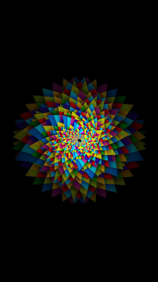 Colorful flower black background white 4 - image free wallpaper