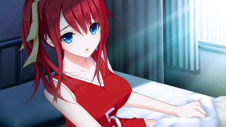 Redhair blueeyes girl bedroom curtains - a bed in a room free wallpaper
