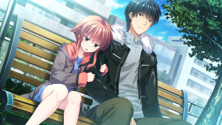 Couple people sitting bench park - a couple of people free wallpaper for desktop