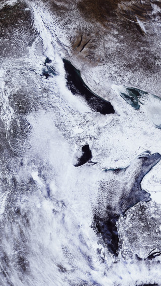 Satellite snow ocean bird black - photo of a bird free wallpaper