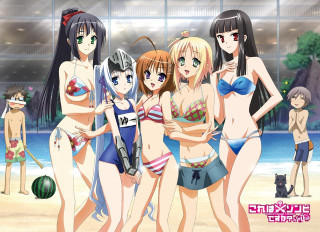 Women bathing suits beach cat - suit free wallpaper