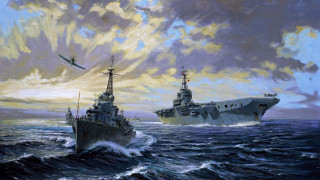 Ships ocean bird flying painting - a painting free wallpaper