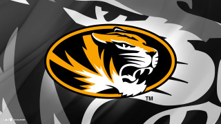 Tiger head black background white - derek hill free wallpaper