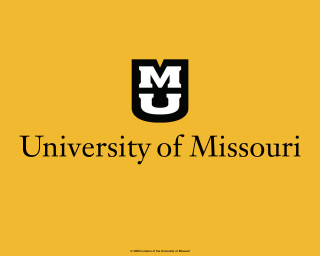 University missouri logo yellow background - ellsworth kelly free wallpaper