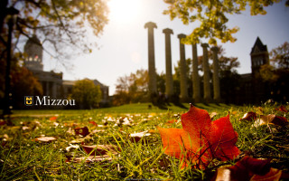 Leaf building columns sunlight ground - the background and a sun free wallpaper