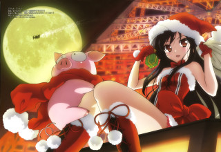 Woman santa hat stockings holding - a pig free wallpaper