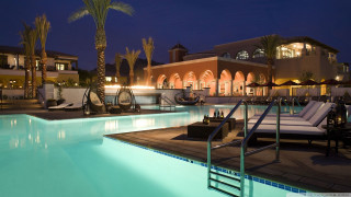 Pool lounge chairs palm tree - elbridge ayer burbank free wallpaper