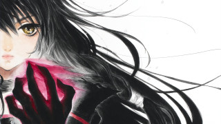 Woman long hair red coat - a red coat free wallpaper