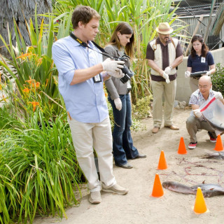 Group people pond orange cones - ecological art free wallpaper