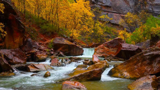 River forest rocks yellow leaves - yellow leaf free wallpaper