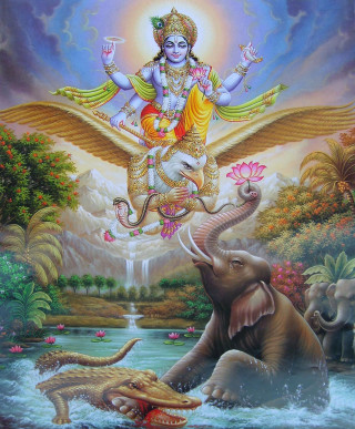 God riding elephant water crocodile - an oil free wallpaper