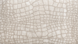 White rug pattern squares lines - fine free wallpaper