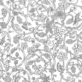 Black white pattern vines flowers - earnst haeckel free wallpaper