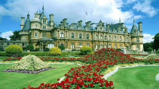 Gaudy christopher wren garden flowers - the front of it free wallpaper