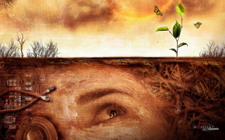 Woman tree butterfly face painting - brad kunkle free wallpaper