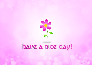 Pink flower green stem bokeh - nice free wallpaper