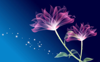 Pink flower blue background stars - a pink flower free wallpaper